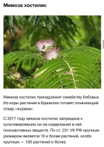 16622972.webp
