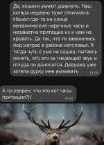 16621072.webp