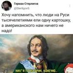 16621068.webp