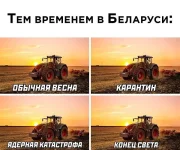 16623859.webp