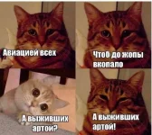 16629696.webp