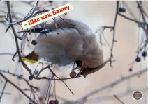 OeT-QsG6nUY.webp