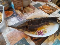 20220407_175909.webp