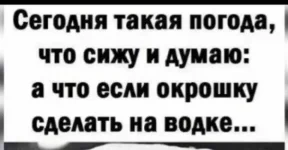 16640970.webp