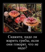 16642899.webp
