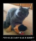 4992771_original.webp