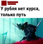 16646194.webp