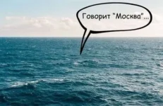 1650058425.webp