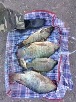 IMG_20220414_093538.webp
