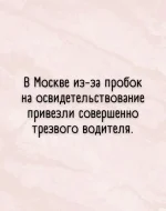 16668853.webp