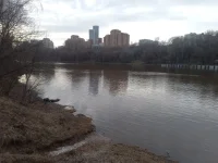 20220417_181337.webp