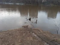 20220417_181331.webp