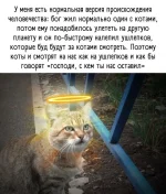 16679333.webp