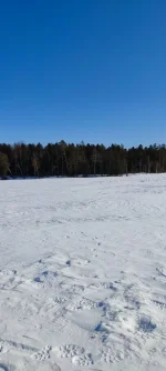 изображение_viber_2022-04-20_16-11-31-394.webp