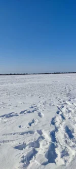изображение_viber_2022-04-20_16-11-31-613.webp