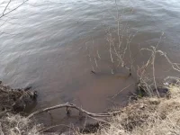 20220420_192921.webp