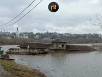16695697.webp