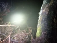20220425_010812.webp
