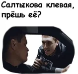 16702967.webp