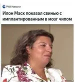 16709050.webp