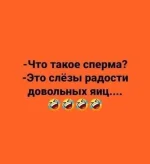 IMG-1b093a42f8b133dd2cf4462ef6426ae8-V.jpg