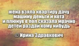 16712681.webp