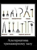 16712687.webp