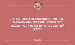 16714466.webp