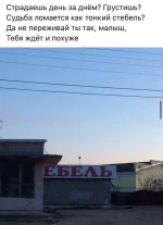 16716173.webp