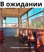 16716909.webp