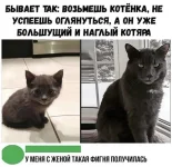 5066416_original.webp