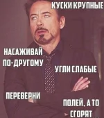 16719478.webp