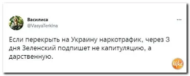 14 (3).webp
