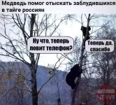5080218_original.webp