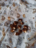 IMG-20220501-WA0000.webp