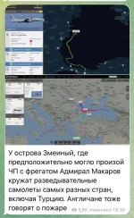 16735361.webp