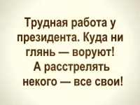1651934086088.webp