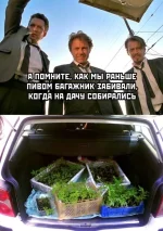 16739709.webp