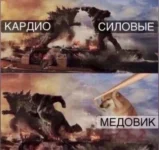 16750586.webp