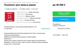 16753114.webp