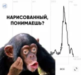 1652392425154.webp