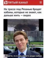 16756529.webp
