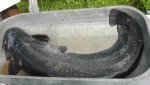 S2780048.JPG