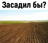 16758596.webp