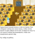 16758605.webp