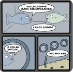 16761474.webp