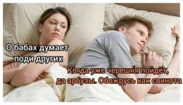 16764356.webp