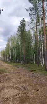 изображение_viber_2022-05-18_08-43-50-517.webp