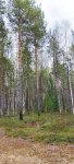 изображение_viber_2022-05-18_08-43-50-676.jpg