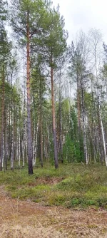 изображение_viber_2022-05-18_08-43-50-676.webp
